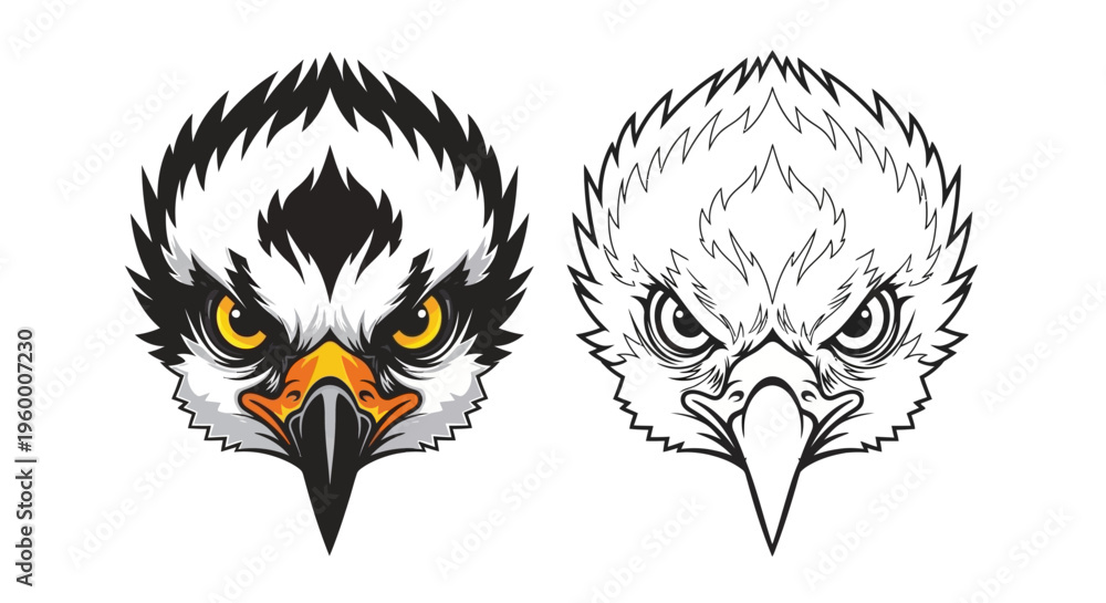 Fototapeta premium Eagle Head Illustration Black White Colorful.