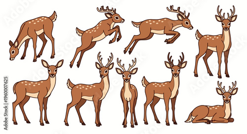 Group of Deer in Various Poses.