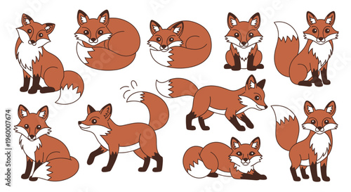 Illustration of Fox in Various Poses.