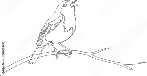 Bird perched on a tree branch with its mouth open singing