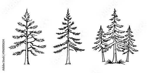 Pine tree forest icon set with compact scenic silhouette design featuring evergreen trees, woodland, nature with simple line art and vector graphics