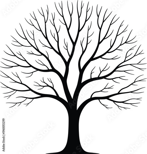Bare tree silhouette