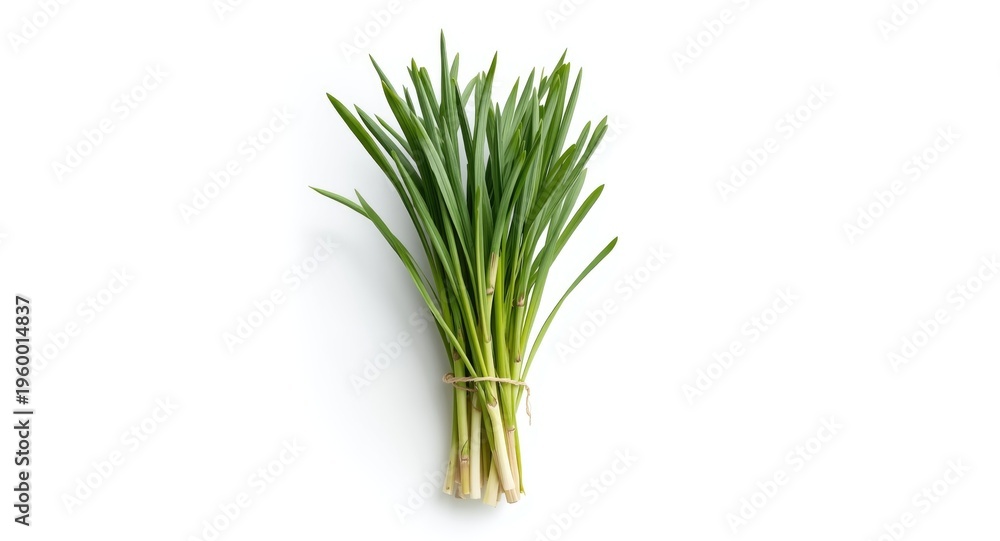 Obraz premium Natural lemongrass herbs placed neatly against a white background
