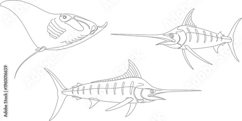 Elegant continuous line art drawing of a majestic manta ray swimming alongside powerful marlin fish, perfect for aquatic themed designs and simple ocean life illustrations.