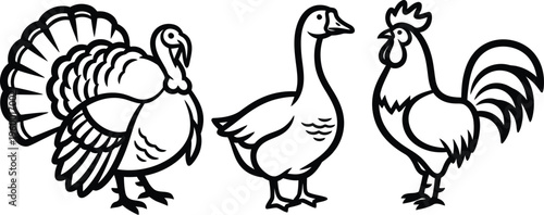 Simple black and white line art illustration featuring three different domestic fowl including a turkey a goose and a proud rooster standing together.