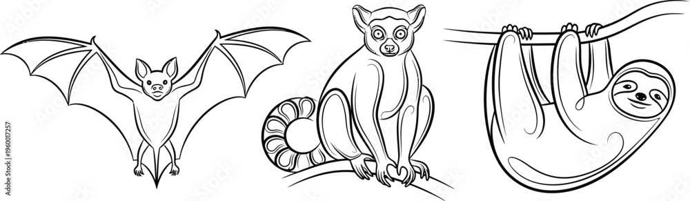 Obraz premium A delightful collection of three distinct cartoon animals, featuring a flying bat, a sitting lemur, and a hanging sloth, presented as simple black outline illustrations for children's coloring.