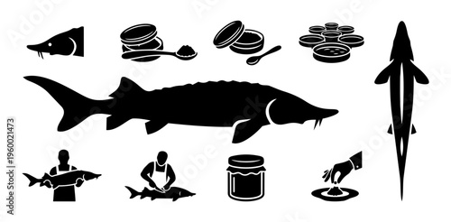 Sturgeon Fish and Caviar Silhouette Set – Luxury Aquaculture and Gourmet Seafood Icons