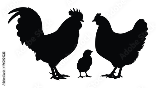 A rooster and a hen with a chick standing together