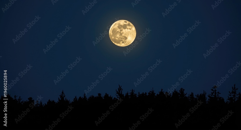 Fototapeta premium Large bright full moon above a night forest scene with ample copy space