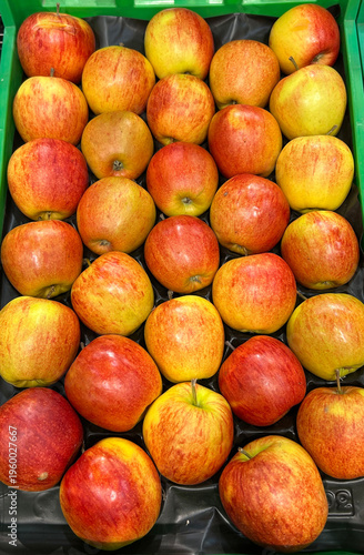 fruit /pomme janagored