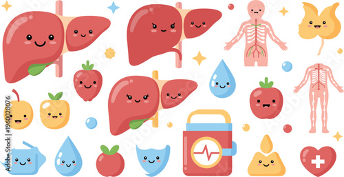 Cute human organs cartoon vector set featuring liver lungs heart stomach kidney and anatomy characters in colorful kawaii medical illustration collection