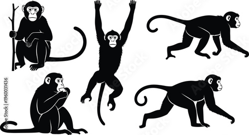 Monkey silhouette set with various poses including climbing sitting and walking cad drawing flat vector illustration flavector for wildlife design (20 words)