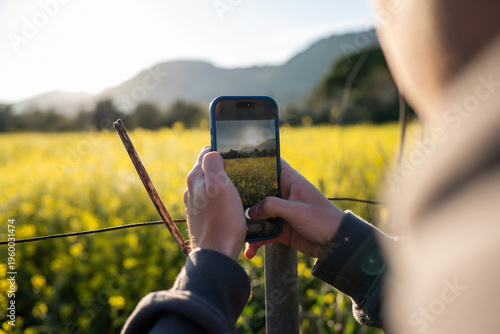 Close up of hands holding a smartphone to take a photo of a yellow flower field at sunset. POV perspective of mobile photography in nature. Scenic landscape, technology, creative blogging.