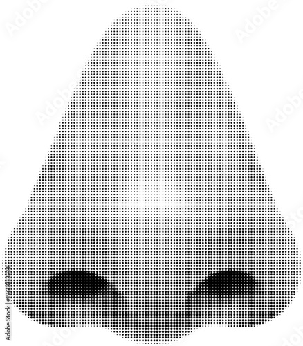Nose Anatomy: A detailed, monochromatic illustration showcases the intricacies of a human nose, highlighting its form and structure. 