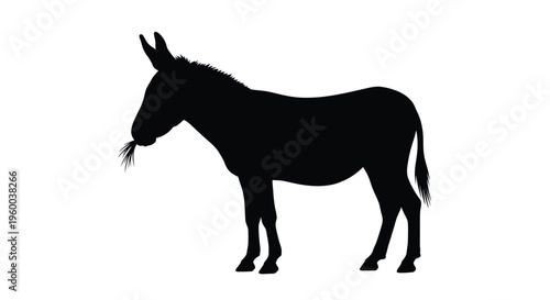 Silhouette of a donkey standing in profile against a white background