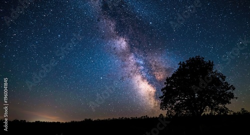 Night sky panorama showing milky way and tree silhouette in vivid detail