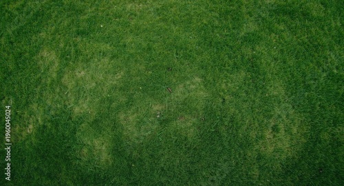 High viewpoint of man made grass surface background with copy space