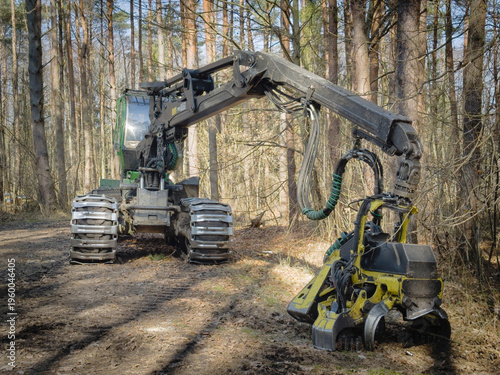 Heavy tree cutter machine (feller buncher) parked in a forest. Logging industry abstract