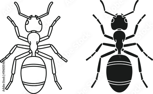 Ant insect vector silhouettes, minimalist black and white bug icons, garden nature elements, pest control graphics, small animal wildlife illustrations, biological entomology, simple line art drawings