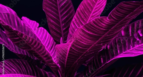 Expressive neon botanical print featuring tropical plant leaves in pink and purple
