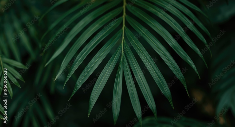Fototapeta premium Sharp green leaf details in front of a natural leafy background