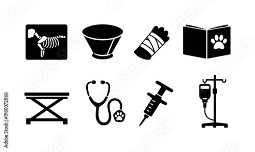 Veterinary clinical practice: animal x-ray panel, surgical cone collar, paw bandage wrap, vaccination record booklet, examination table frame, stethoscope with paw tag, pet