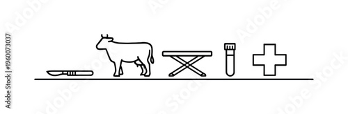 Veterinary necropsy examination and cause-of-death analysis for livestock disease investigation and farm health management, scalpel, animal silhouette, examination table, sample