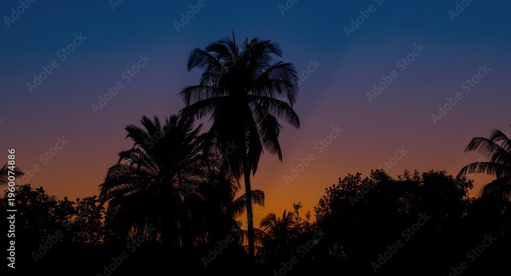 Obraz premium Beautiful evening sky featuring palm tree silhouettes at sunset