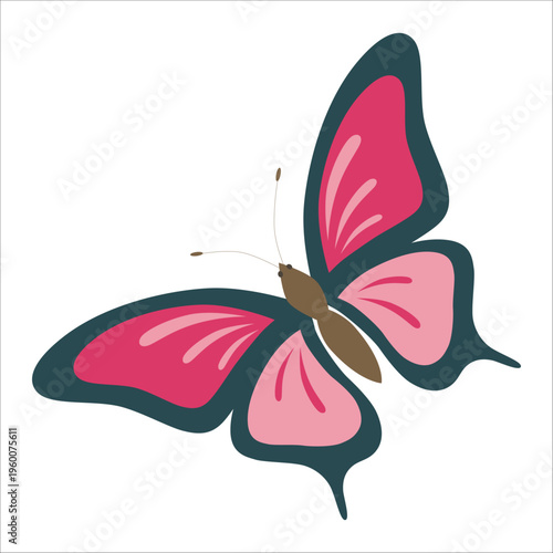 Pink butterfly vector illustration decorative insect with dark wings design