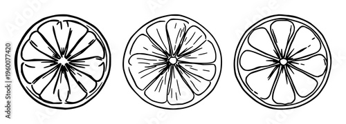 Lemon slice set with bright, simple line art citrus icon featuring lemon, citrus, fruit with minimal outline and clean design