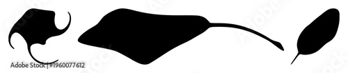 Stingray silhouette set with stylized body outline and flowing dorsal fin featuring marine creature, aquatic life, wildlife with black line art and vector illustration