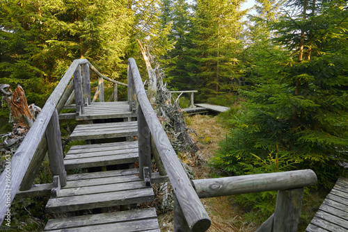 Blick auf den Moorweg bei dem Torfhaus im Harz, Niedersachsen, Deutschland.