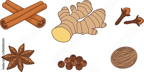 Chai spices vector set with labels. Cinnamon ginger cloves anise nutmeg and allspice illustrations. Flat ingredient icons for recipes packaging and educational food design.