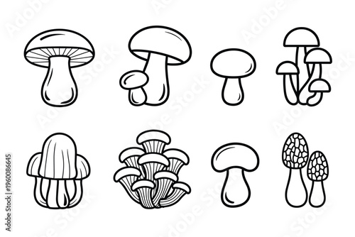 Collection of Hand- Drawn Mushroom Outlines fungi drawing