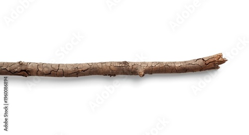 Natural cracked bark on an ...