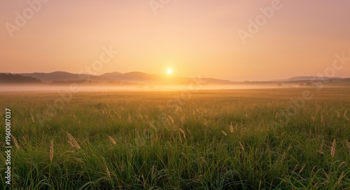 Soothing natural meadow pan...