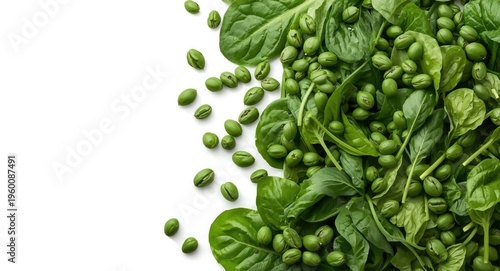 Fresh green spinach seeds i...