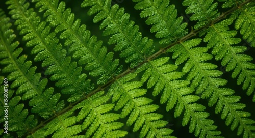 detailed image of a fresh g...
