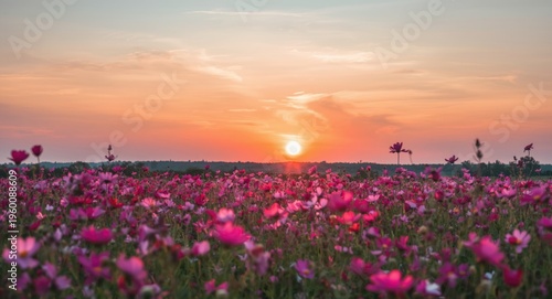 Picturesque sunset sky abov...