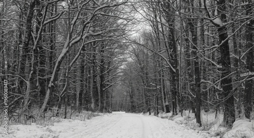 Monochromatic vertical pano...