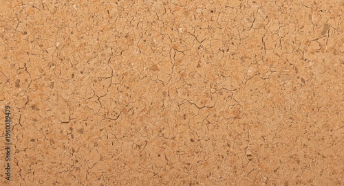 Premium natural cork layer ...