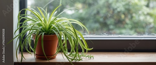 Natural home decor featurin...