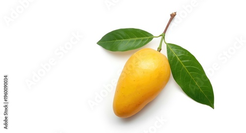 Ripe mango with smooth skin and fresh green leaves on a minimalist plain white background