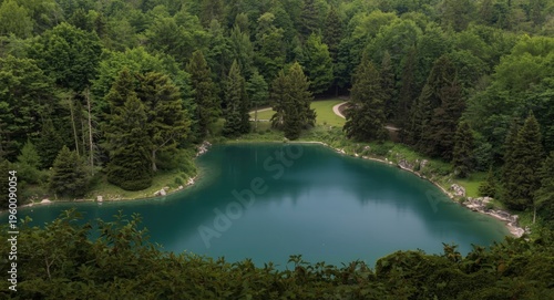 peaceful lake encircled by ...