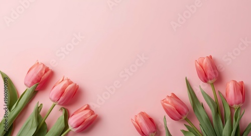 Pastel backdrop featuring f...