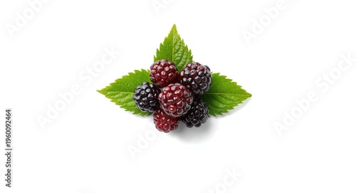 High resolution image of bl...