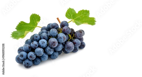 Dark blue grape cluster with attached leaves positioned on bright white backdrop