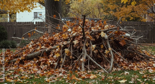 Autumn season suburban yard...