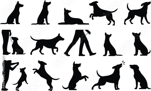 Dog Training Silhouette Icon Collection Set