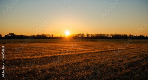 Relaxing golden light at du...